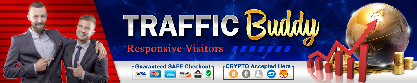Buy targeted website traffic from traffic buddy